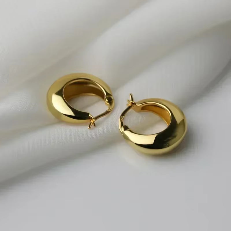 2023 Hot Sale Fashion Metal Hoop Earrings for Woman Vintage Doop Earring Trend Classic Party Wedding Ear Buckle Jewelry Gift